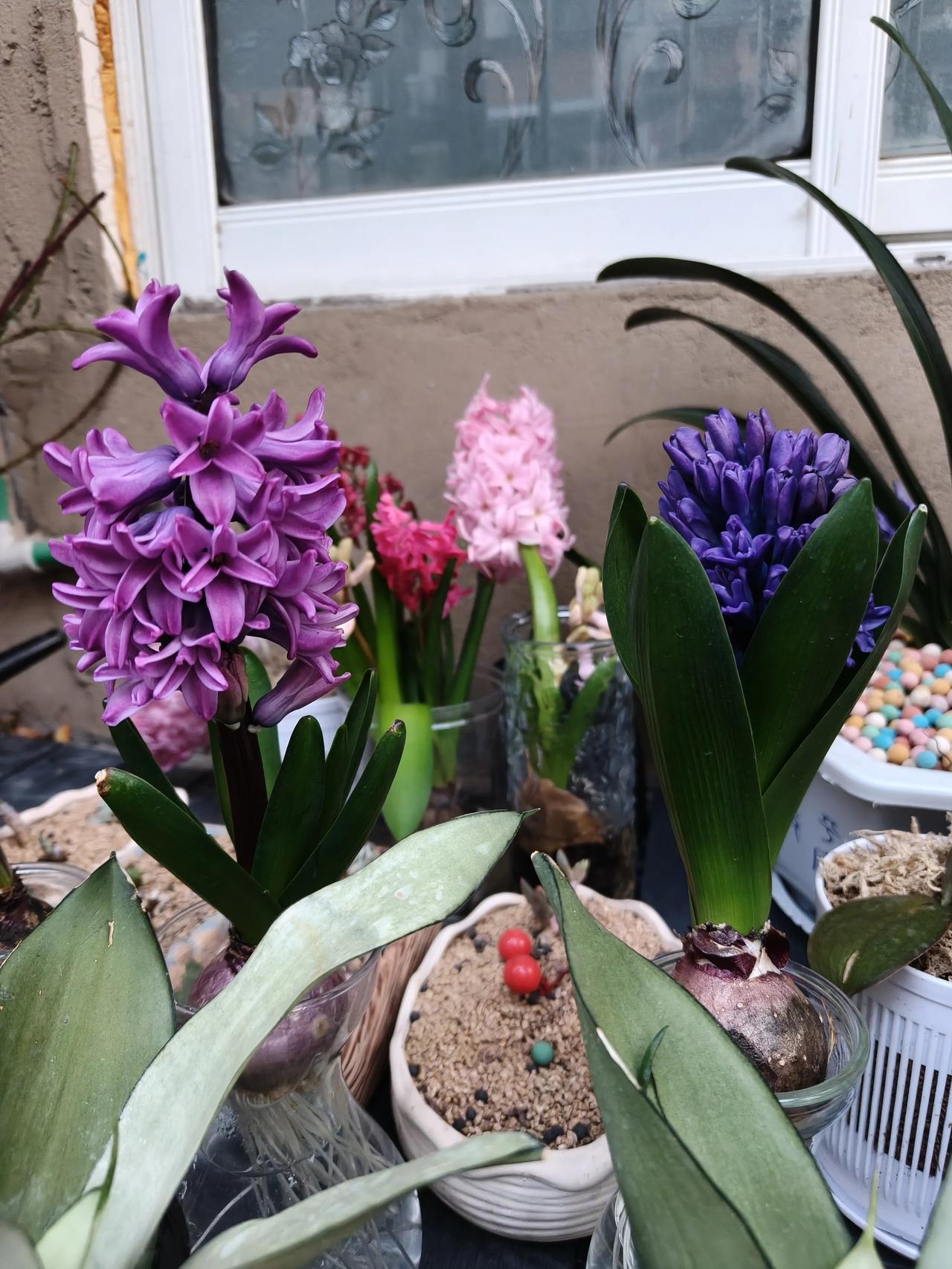 种下希望，收获绿色未来每一棵树，都是对地球的温柔承诺。