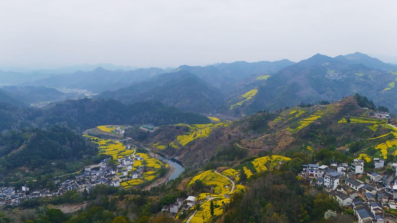 竟然还有人说洋人有什么高贵的血统，我看着都好笑，动物是讲究血统的，人和动物做比较