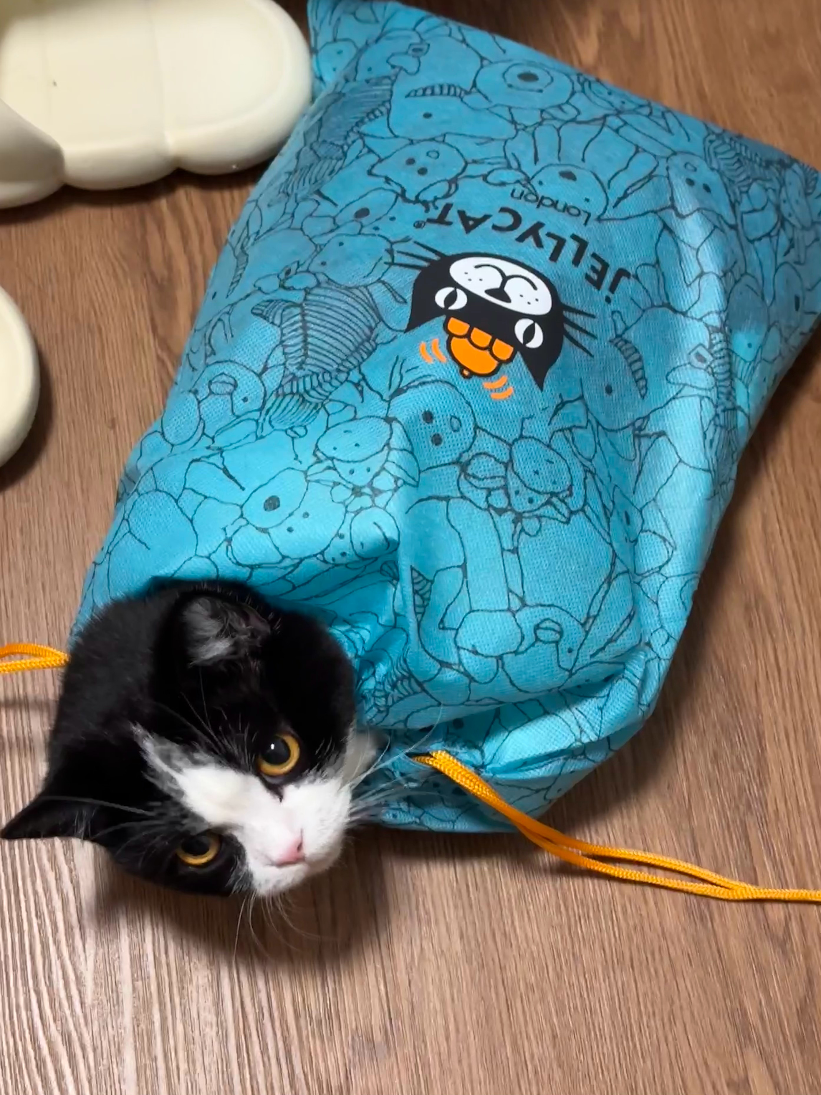 reallycat 