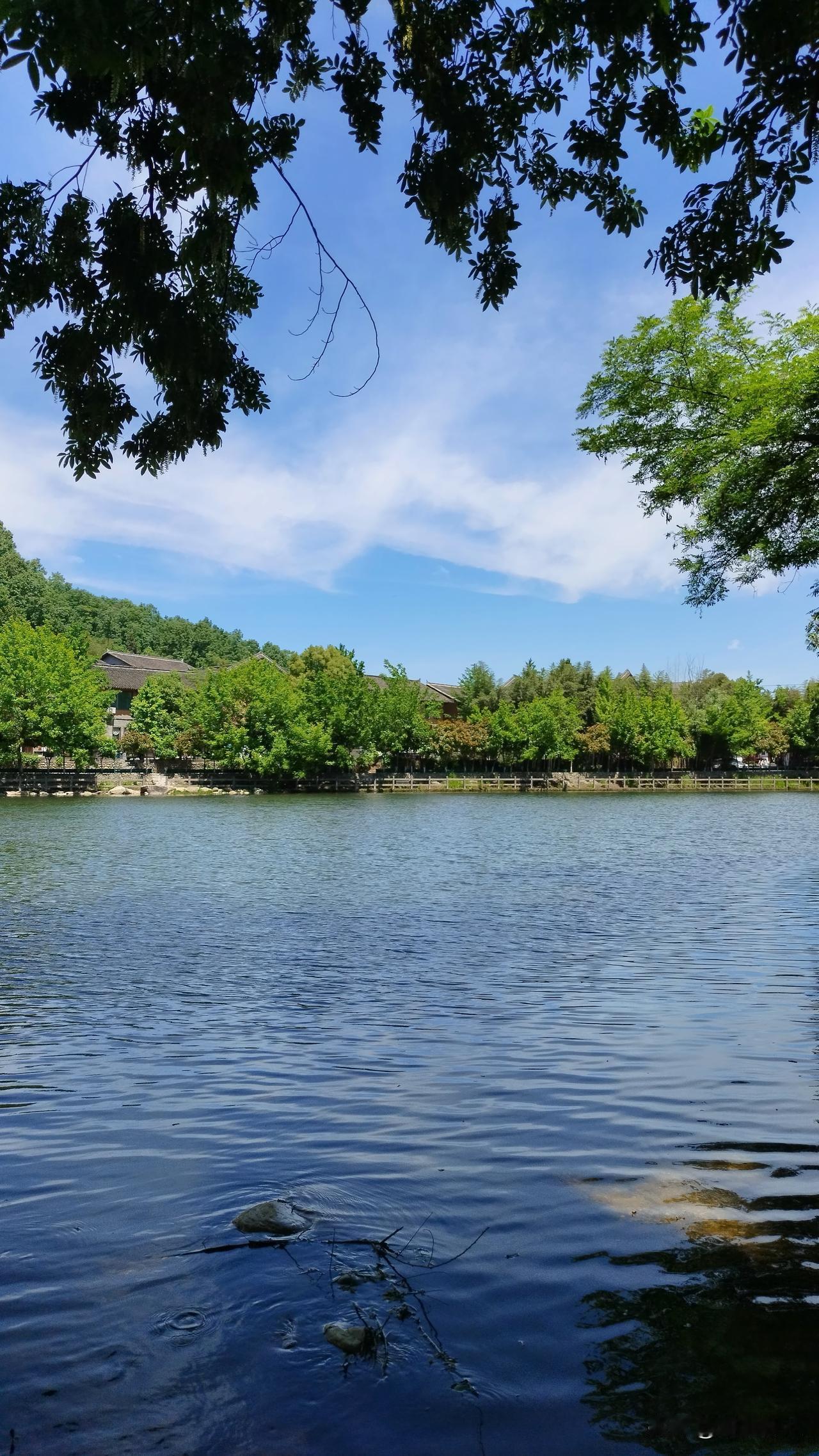 五一第三天，今天开车到了谷城堰河，从襄阳市内开车两个多小时，一路田园风景，很美，