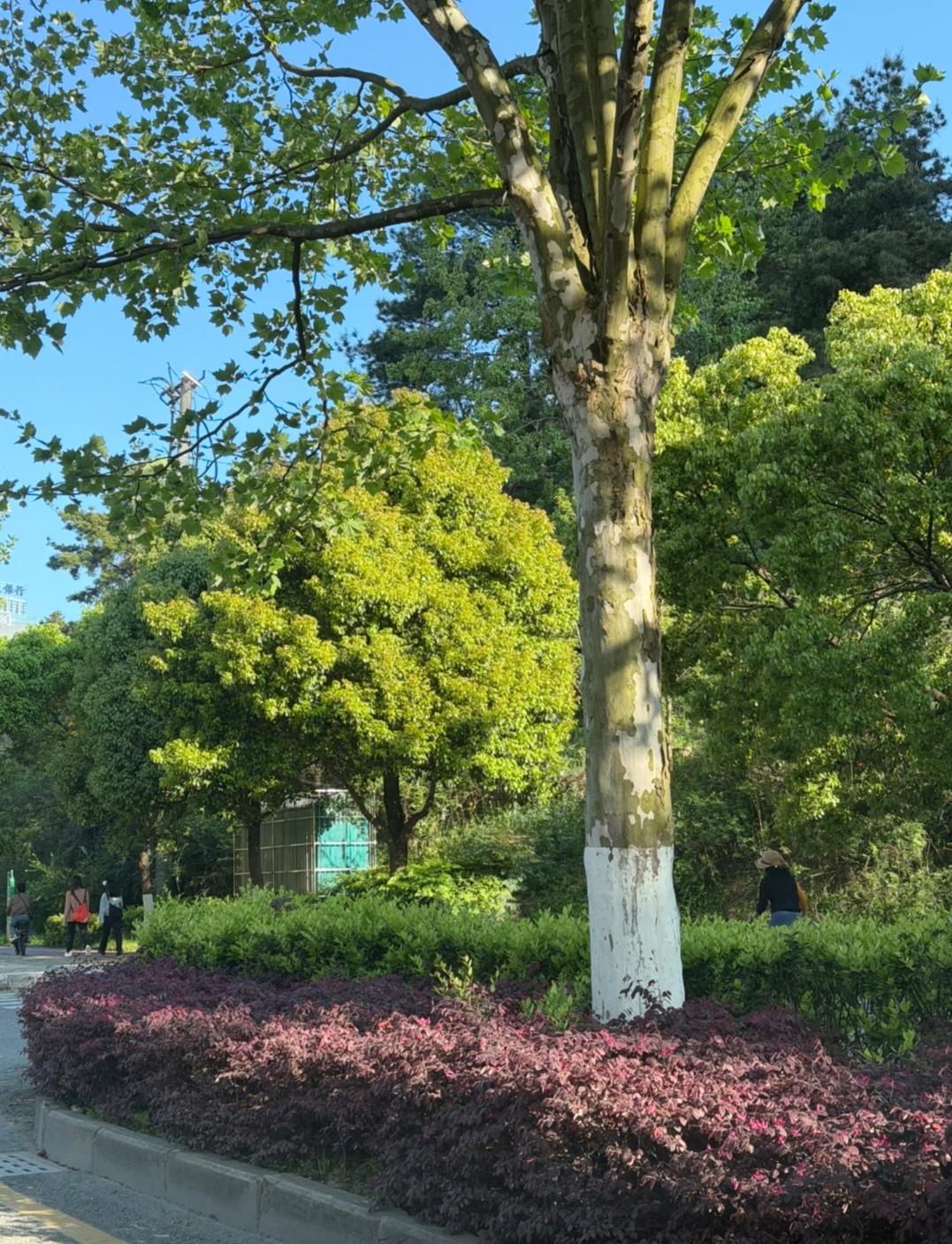 大学真正回报率超高30件事，看看你中几条
很多人总在迷迷茫茫却寻不得宝藏，其实大