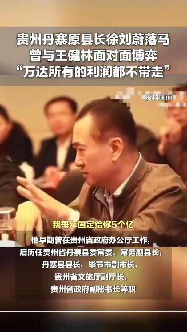 硬刚王健林的徐刘蔚真经不起深扒，这4个真相把他拉下水。
 
1、32岁就当上丹寨