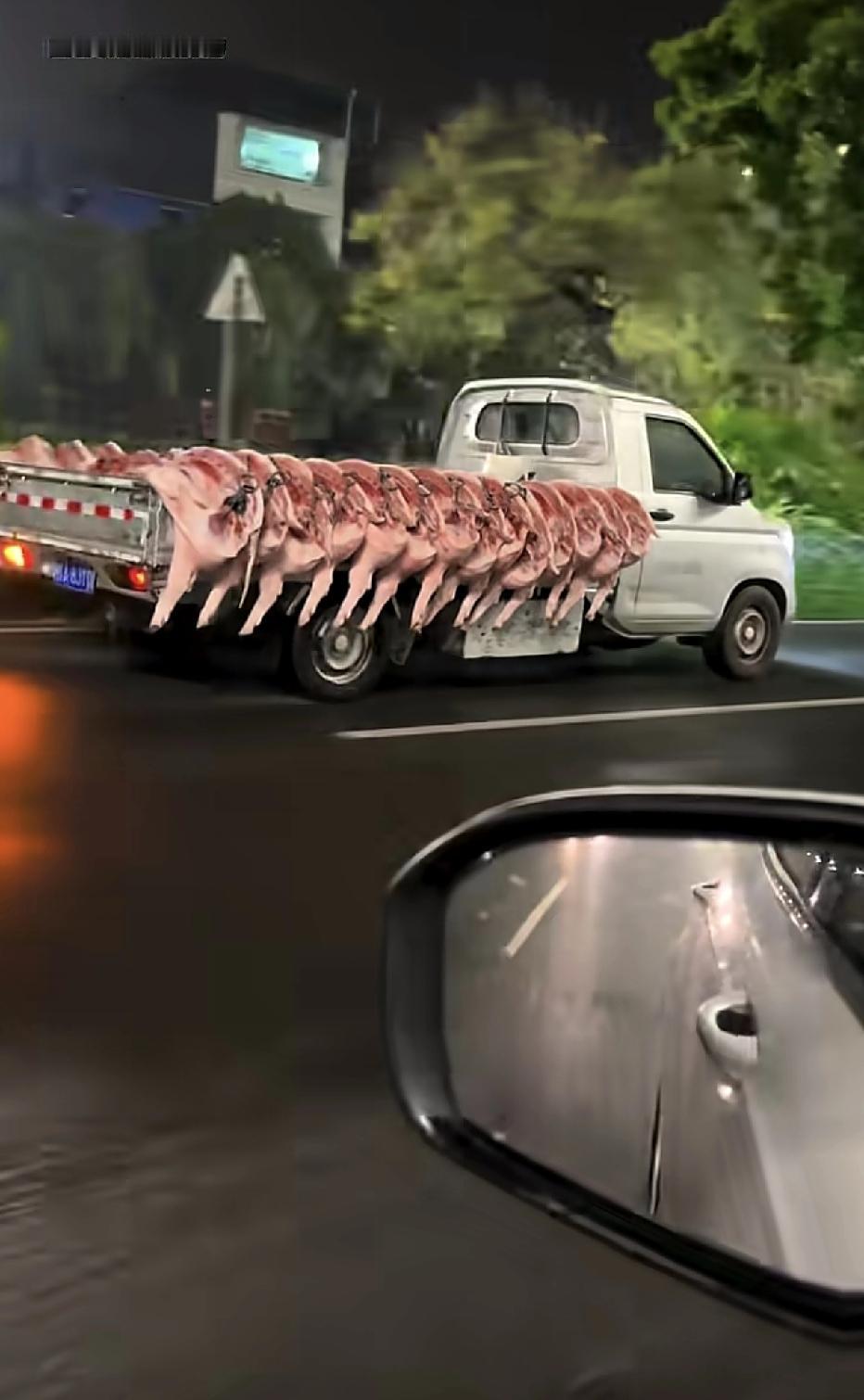 凌晨的国道上，有赌徒，有破产的老板，有三教九流的大神，唯独没有怂蛋。

所以在繁