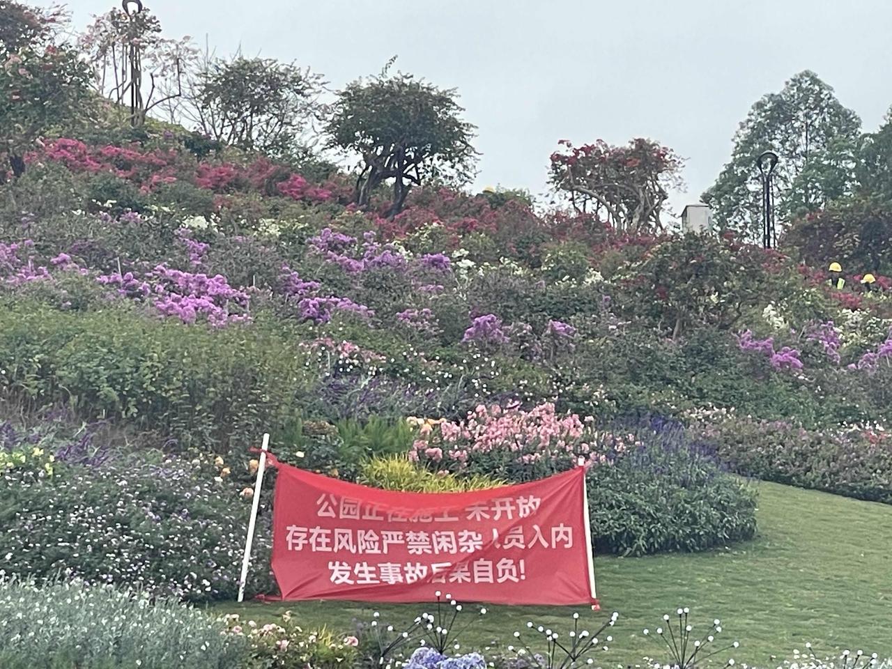 深圳龙岗坂田的山花烂漫公园现已封闭！正在加紧施工。具体开放时间不详，现场未作披露