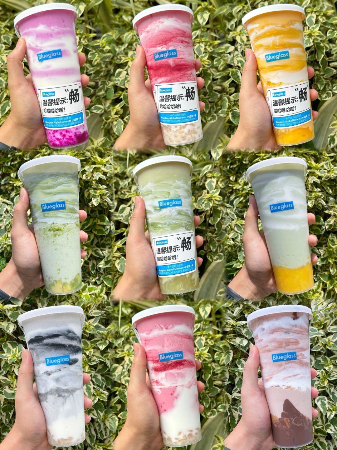 Blueglass新品热量‼️5000亿益生菌🐮噗噗噗