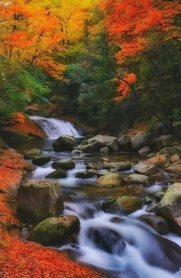 “九寨看水，光雾看山，山水不全看，不算到四川。”要说四川的秋天，除了九寨沟，光雾