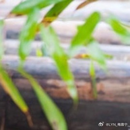 熊猫守护者 | 熊猫守护者‬ 努力做一个善良的人，做一个心态阳光的人，做一个积级
