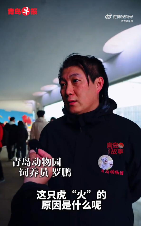 以后谁再跟我说好看没用 好看单出是王炸好看+其他牌叫天胡 