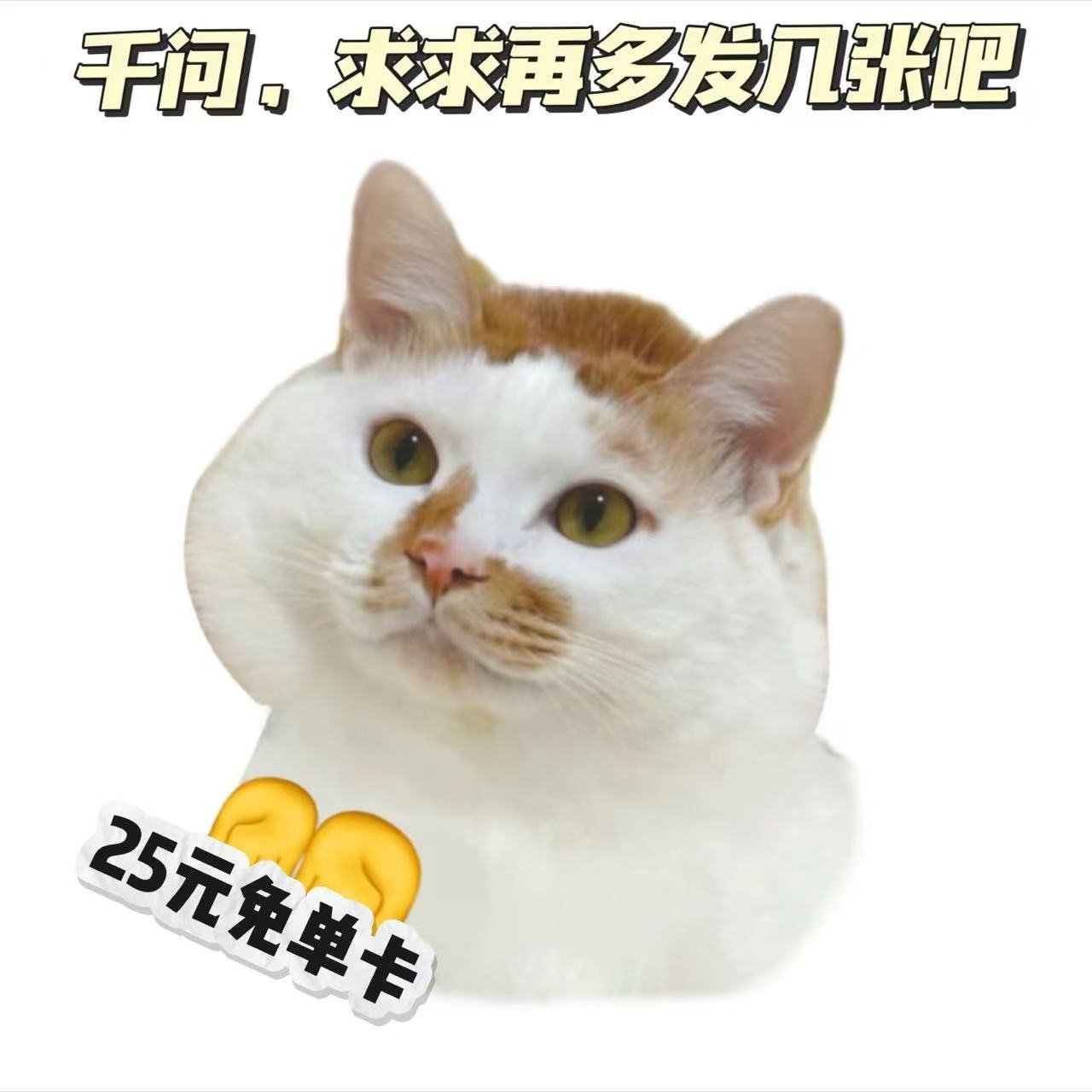 第一批千问万元生活卡锦鲤已出现 机酒立减、外卖免单、大额红包，原来千问AI生活卡