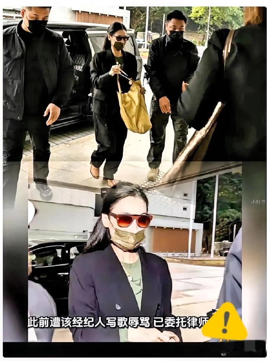 讲真，反复听了张柏芝那段曝光的录音，
鸡皮疙瘩掉一地。

这不是豪门恩怨，而是现