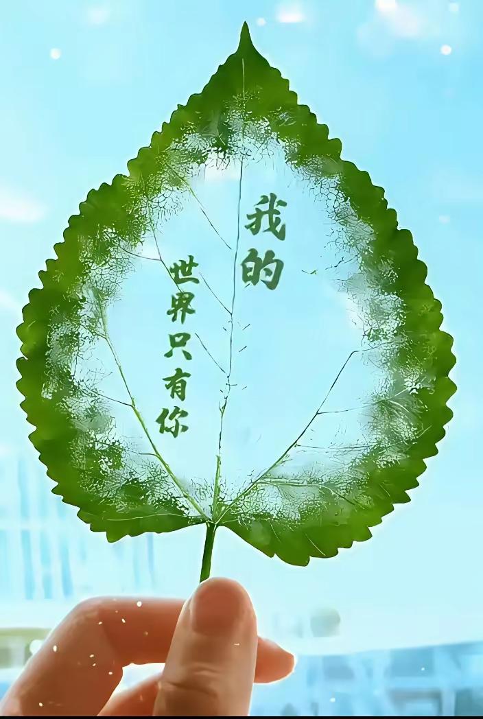 你的清晨，总有我的祝福；我的记忆，总有你的身影。友谊路上，我们珍惜；健康路上，我