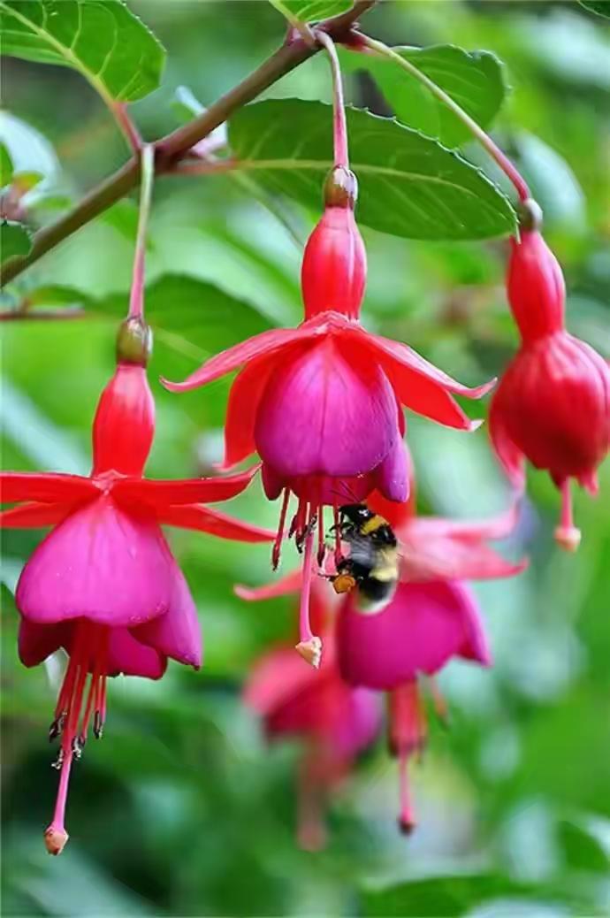 -ovisUYeWQ-EZptAfRRbNw


大寒后，为什么中医建议你少吃海