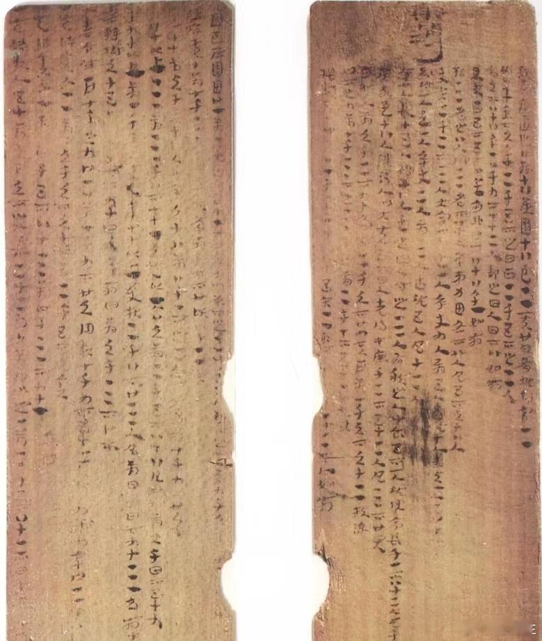 别被骗了，古人寿命可不低很多网络上传播的古代人寿命，大约在30-40岁，有的甚至