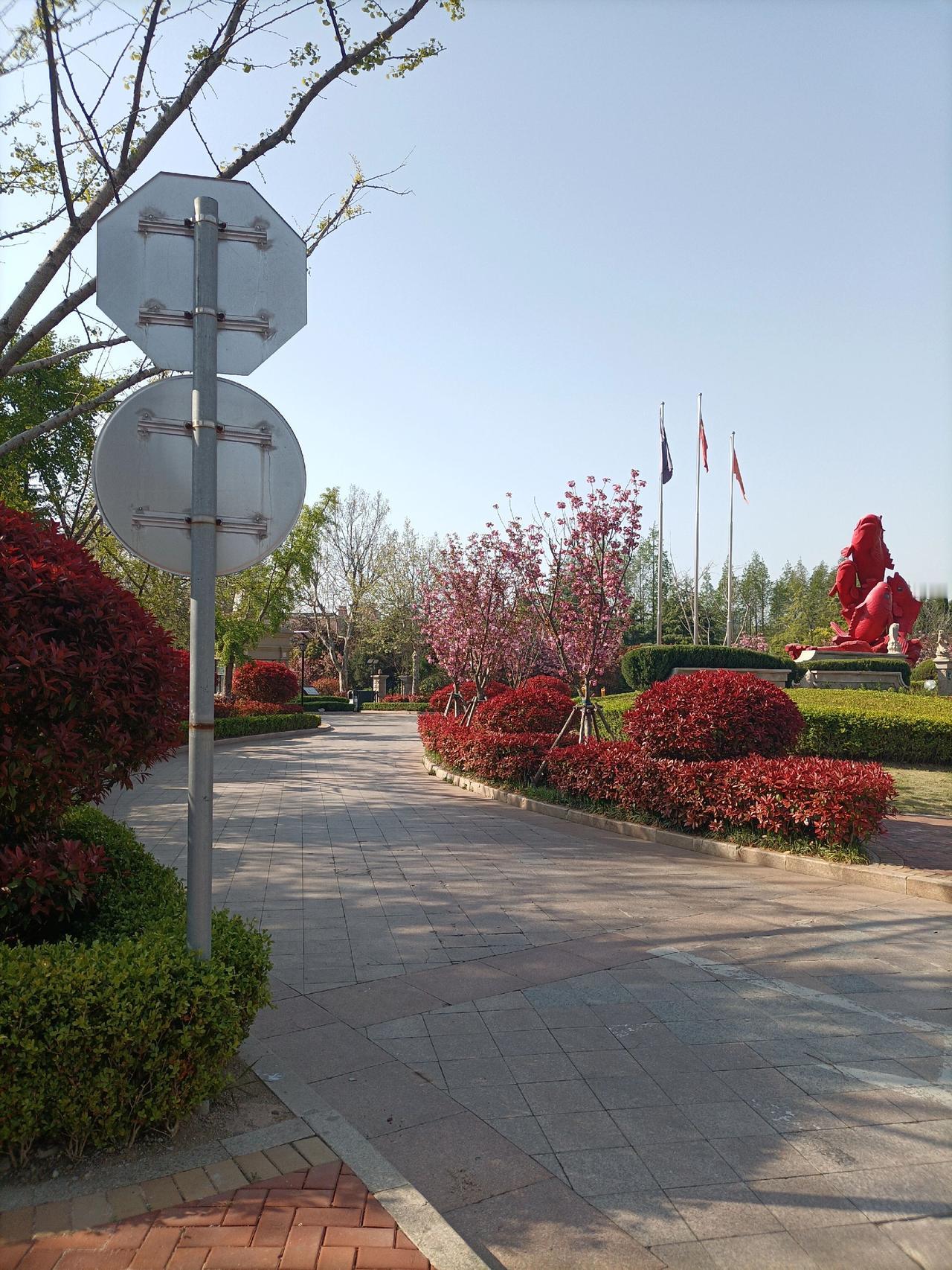 随拍生态公园 sting之城狂飙飞车