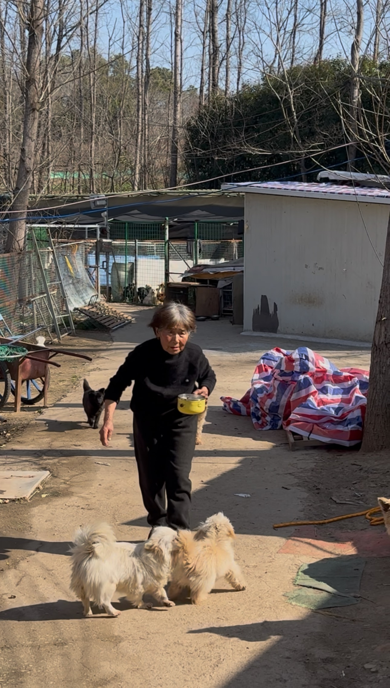 【#82岁教师为300余毛孩子写最后一课#看哭全网！本人回应：看到那么多懂得尊重