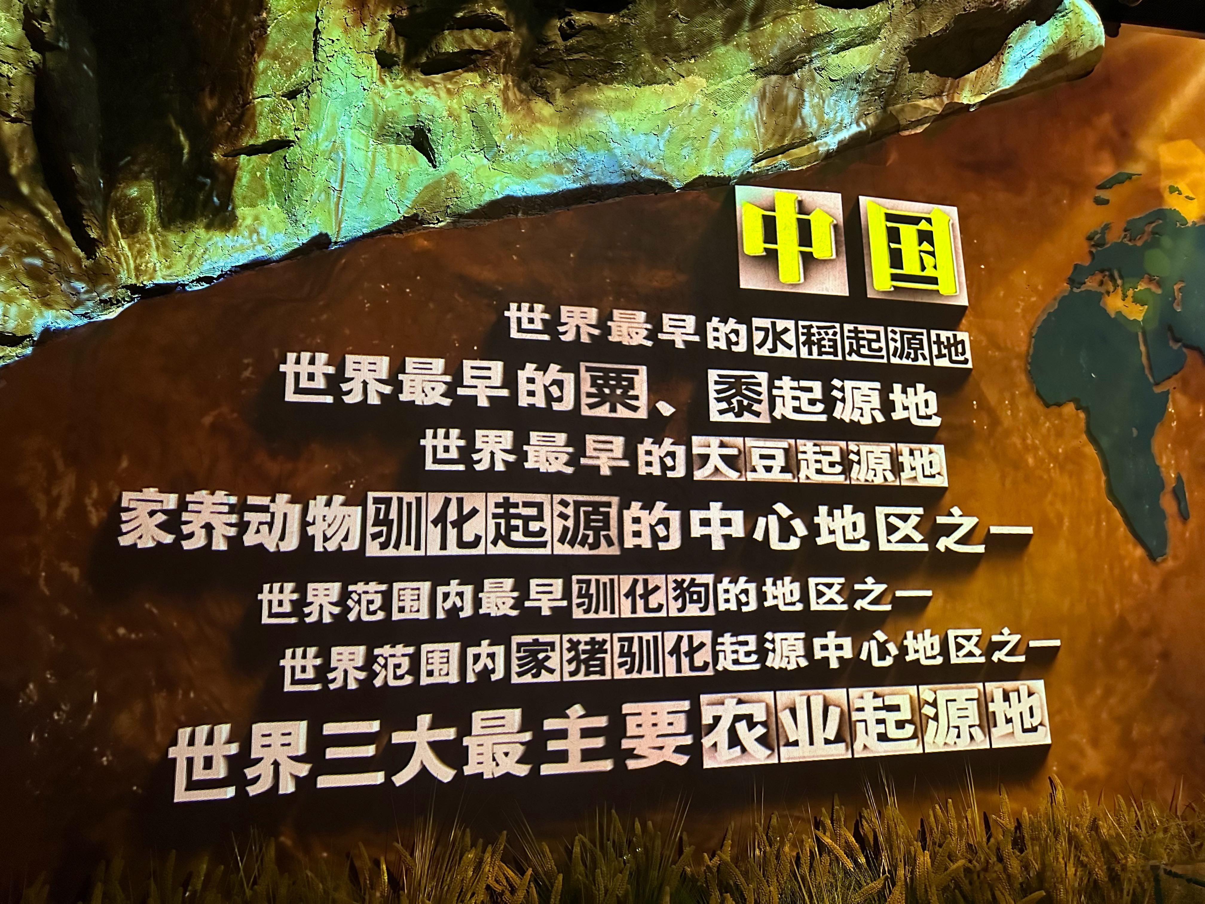 #中国考古博物馆##小猿看展记# 中国考古博物馆大家看了么～  ​​​