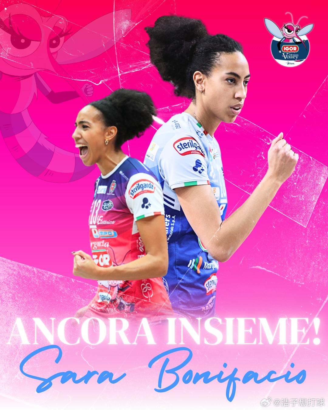 【2026年4月2日排球转会官宣】国际排坛动态国际排坛转会 女排：原意大利国手副