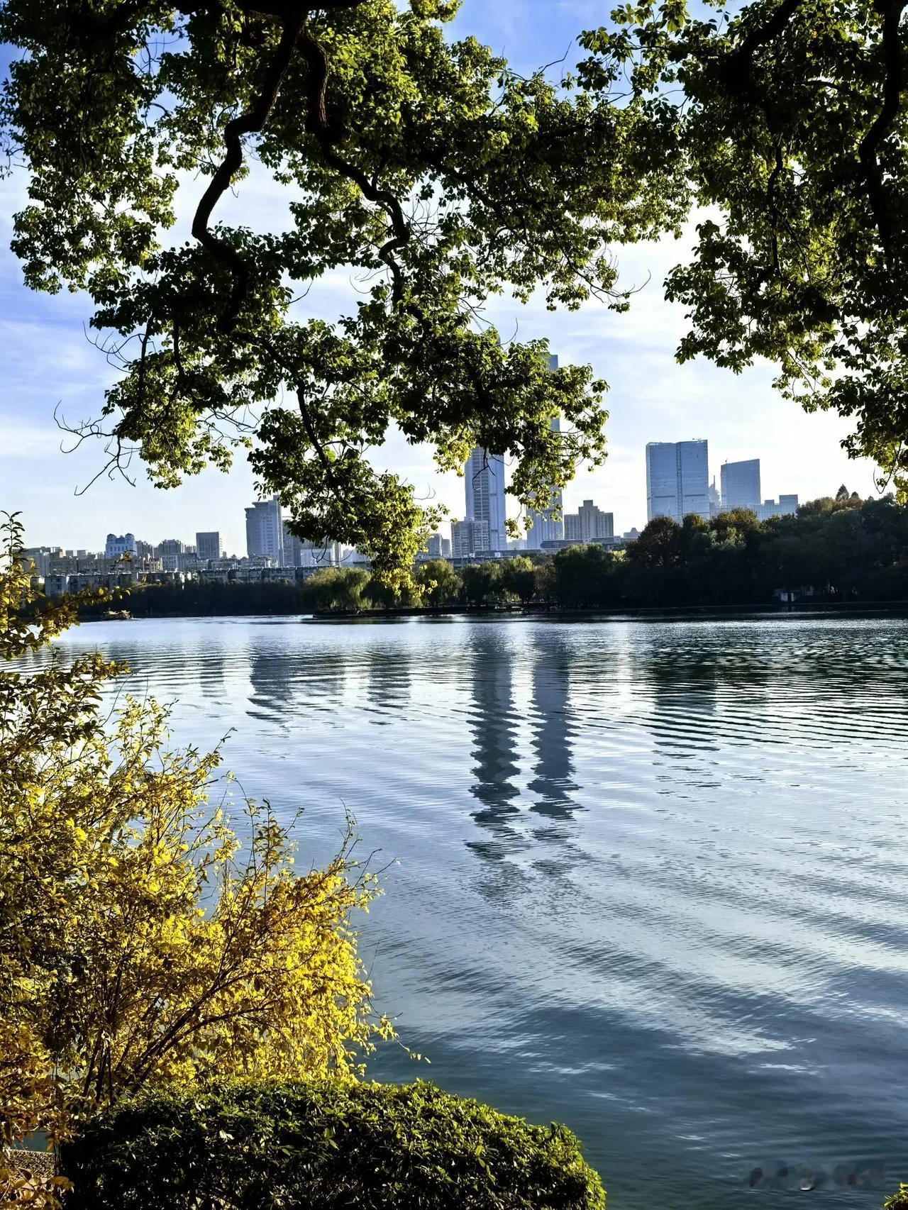 长沙年嘉湖，城市中难得的自然生态景观。