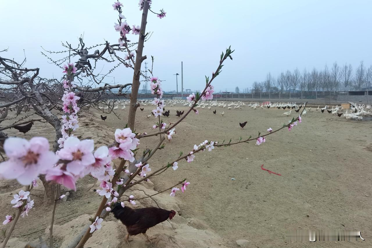 发布雷电黄色预警信号

徐水区气象台2026年04月16日14时09分发布雷电黄