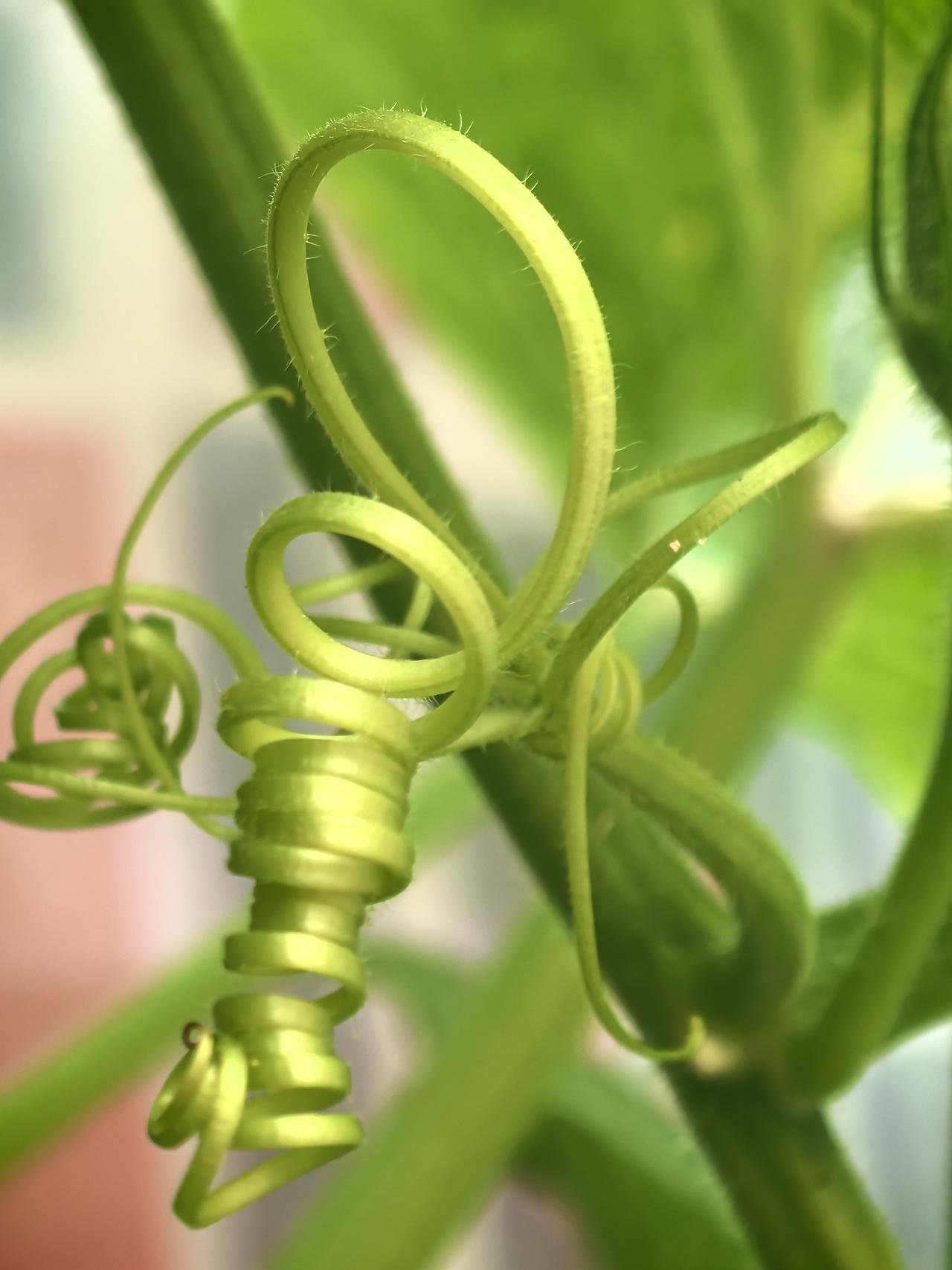 分享一张随手拍下的照片 华为在手机摄影方面有哪些创新 自己拍下的最满意的一张照片