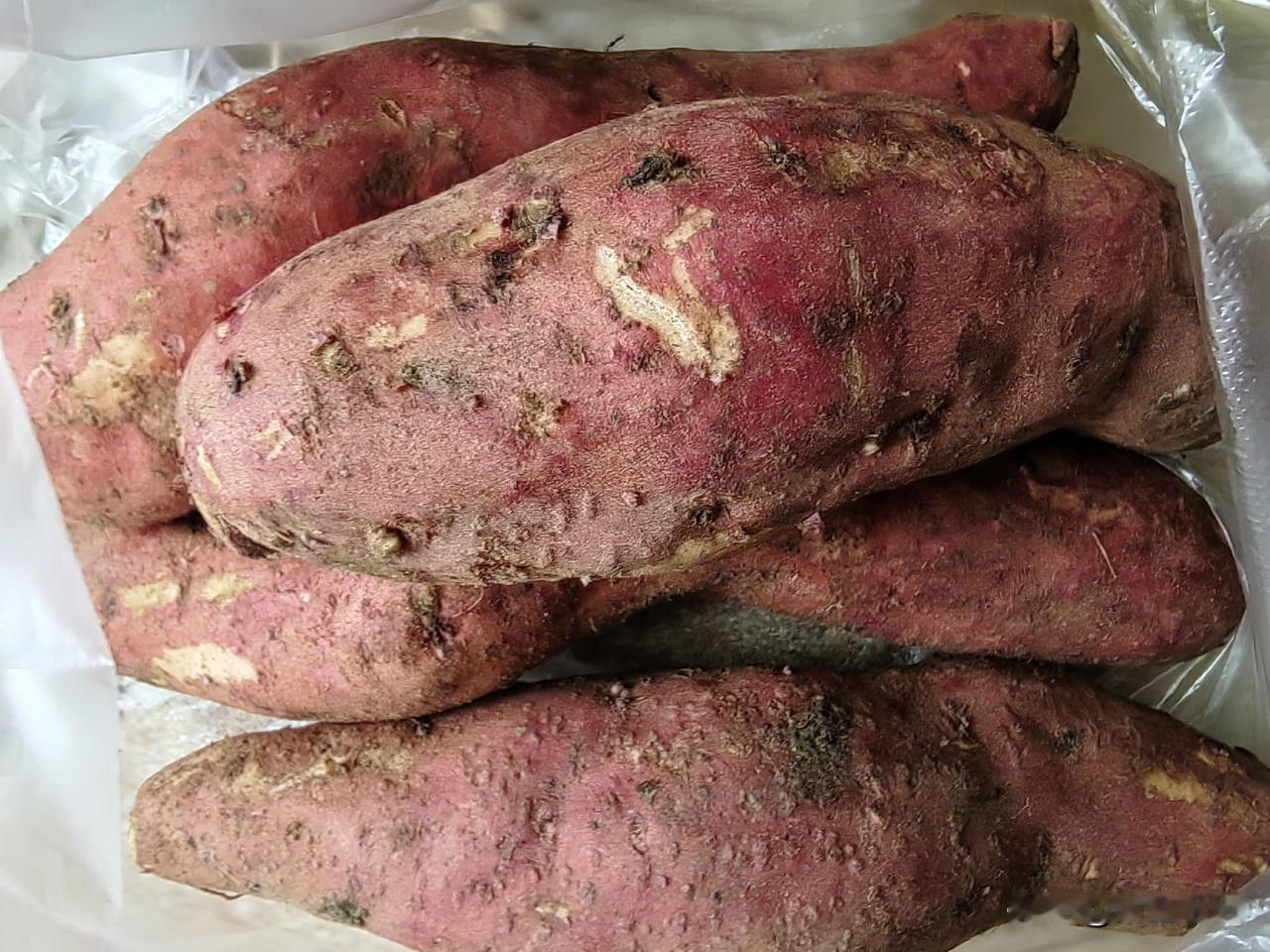 长寿密码
我隔壁一楼住着一位90岁的老阿姨。
一天我正在楼下和朋友聊天，老阿姨慢