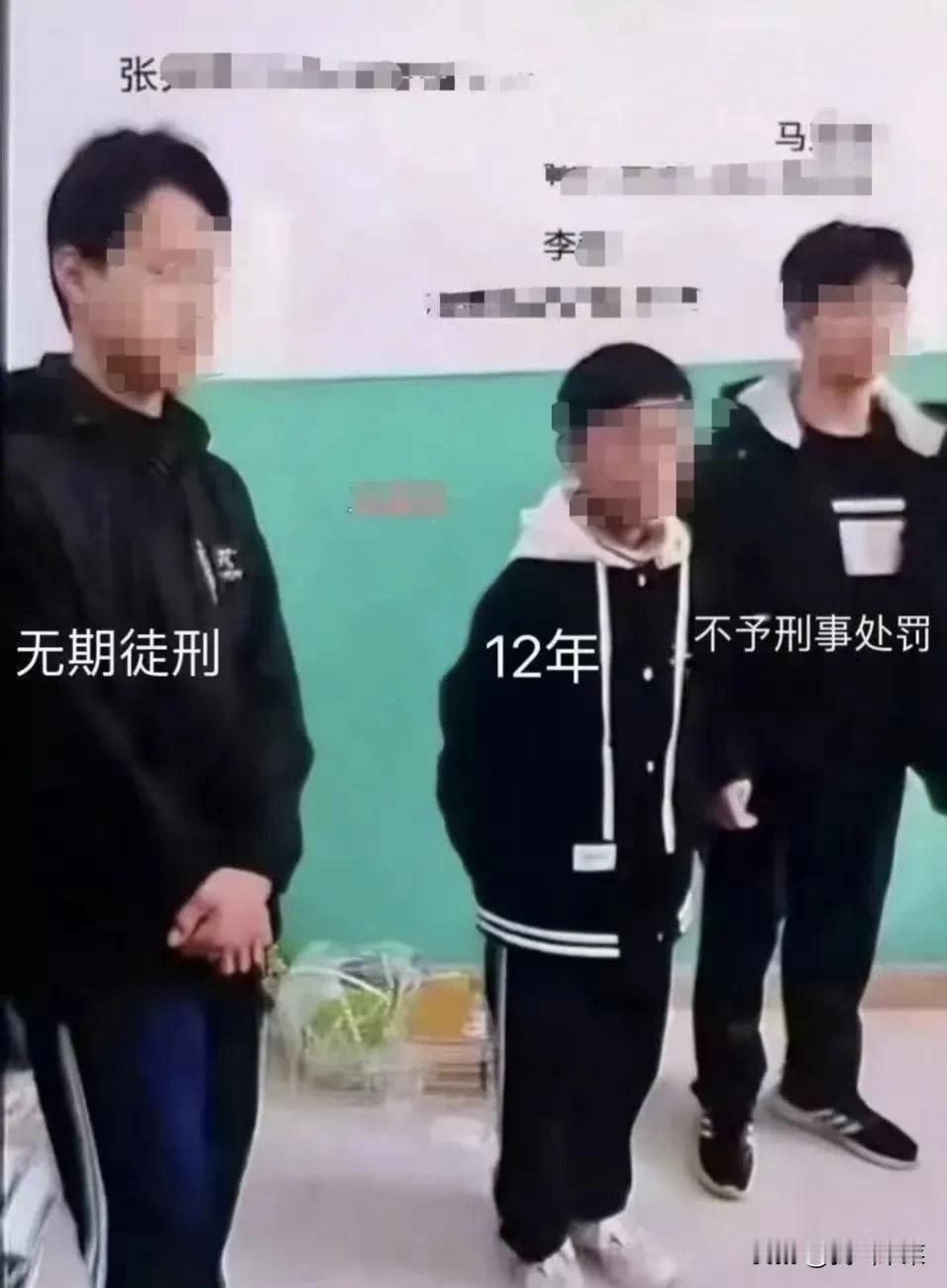 个人认为，张某（左边）做为主谋，应该顶格判决为死缓，李某（中间）做为共谋，应当判