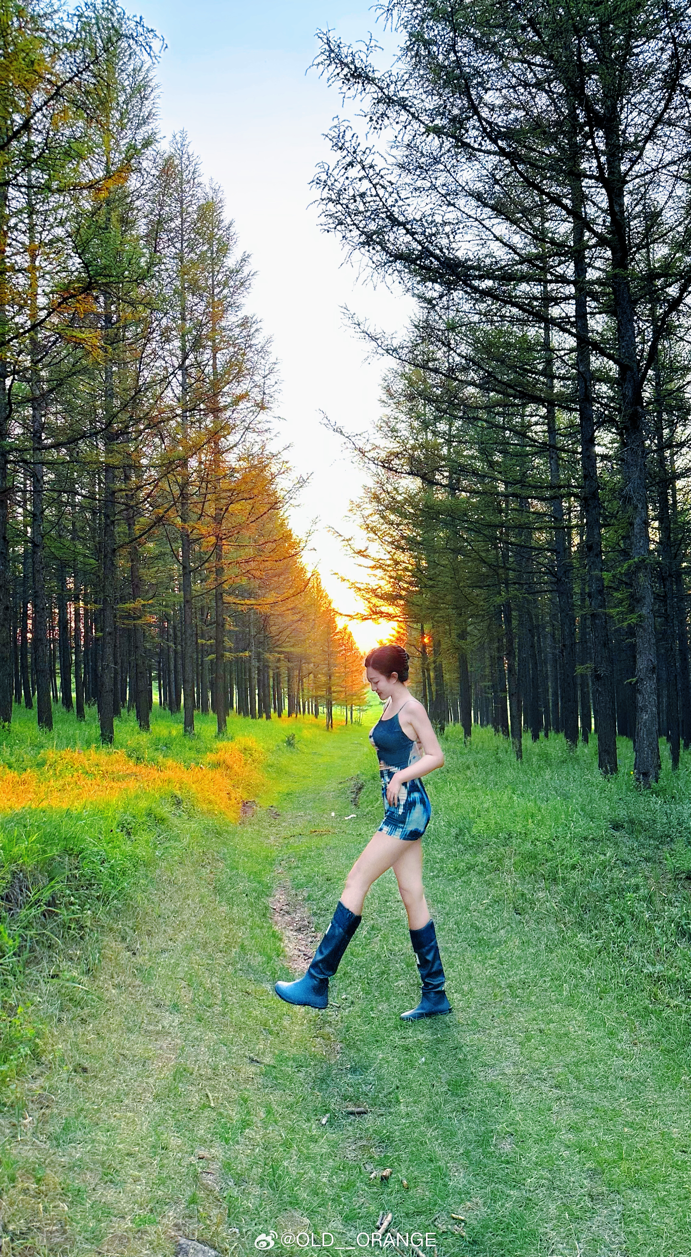 呼市周边小众打卡地———哈达门国家森林公园  ​​​