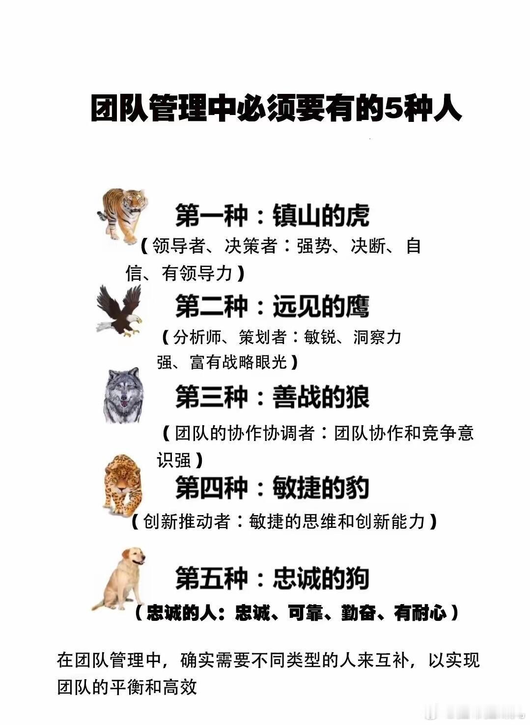 理工男CEO画风差异这么大吗员工最爱的动物型领导我就希望我领导是树懒🦥每天慢慢