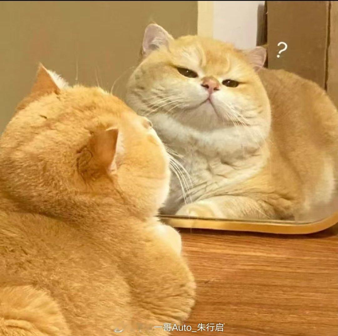 警方通报女子机场拒帮陌生人带行李确实得拒绝带行李因为有坏人会在行李里放违禁品然后