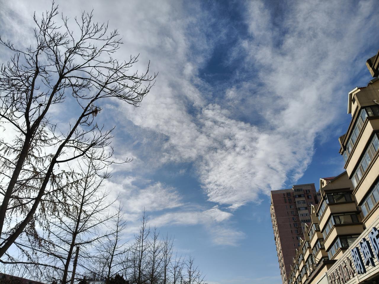 上联：冬去千山秀，诚邀下联春来百花开
