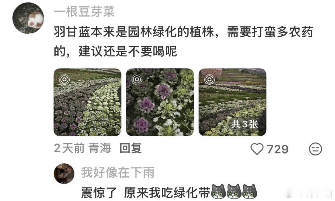 羽衣甘蓝 农药可是我真的很喜欢喝沪上阿姨的羽衣甘蓝……但我印象中草莓也是这样的，