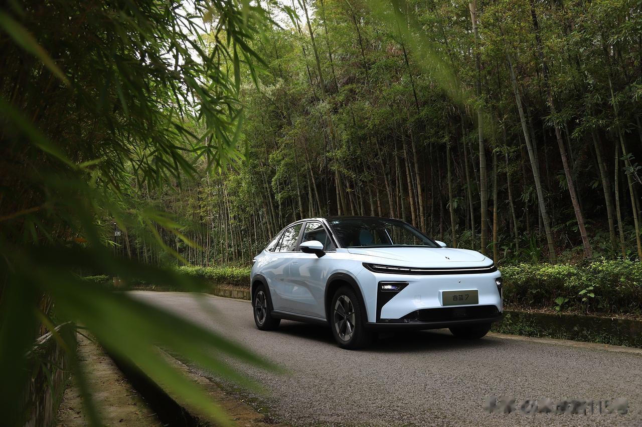 15万元预算，605km续航的睿蓝7，是不是要比 比亚迪宋PLUS EV更具性价