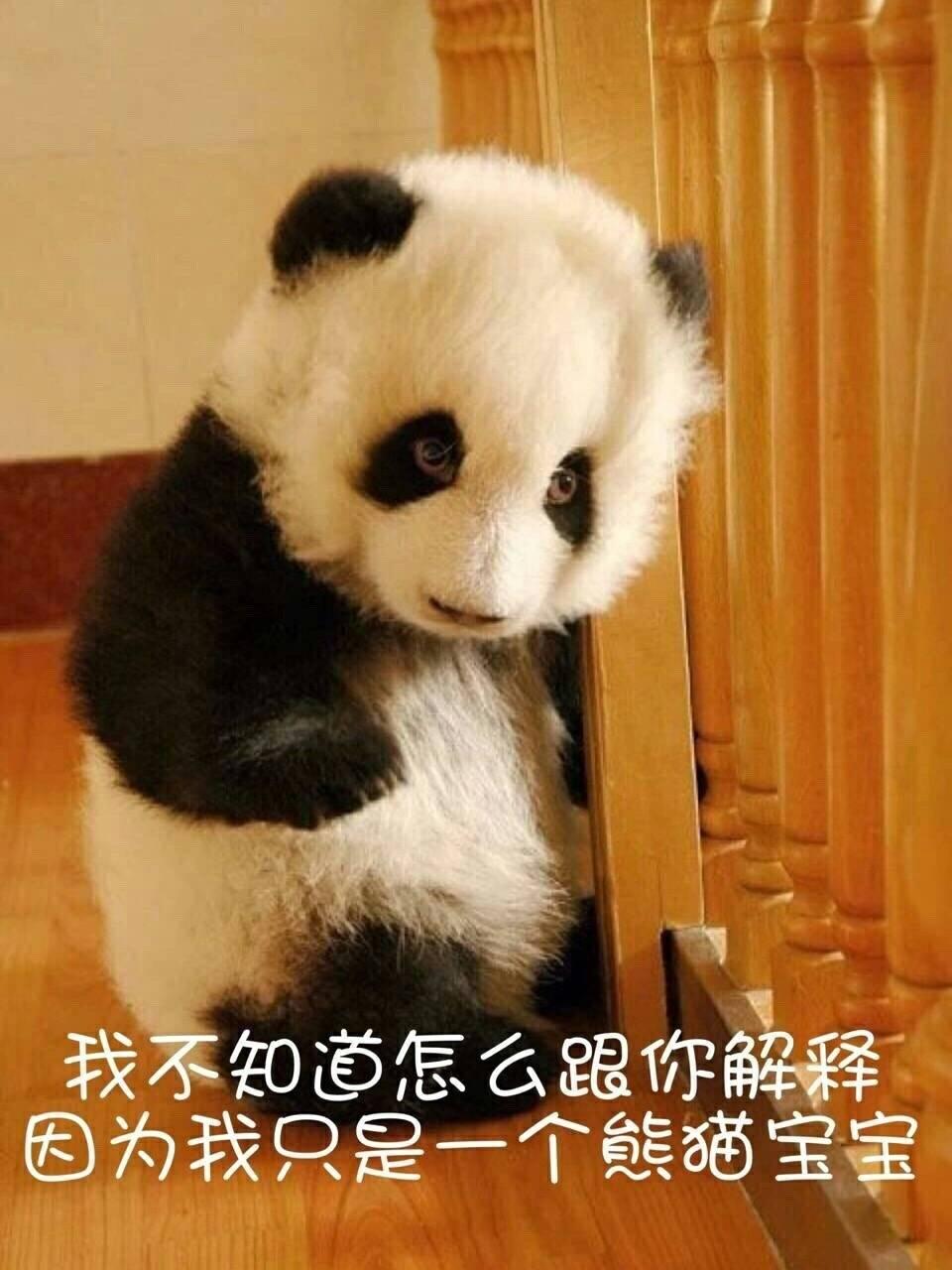 时至今日，我做的梦里面，时不时会有高中数学课被喊起回答问题，自己呆若木鸡。
我的