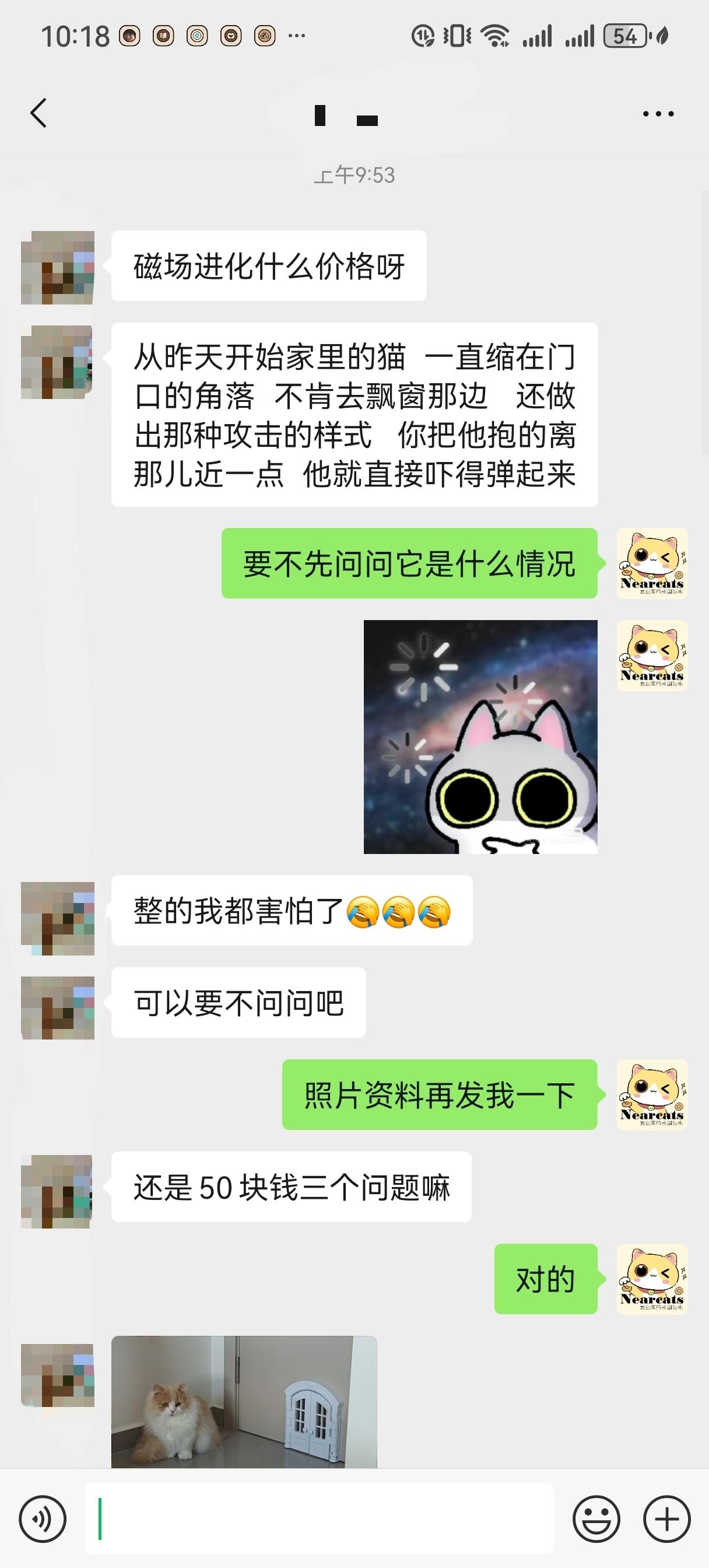 就问你们变成飘会不会逗小猫咪？