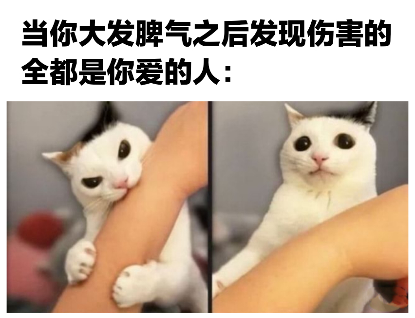 对不起#meme# ​​​