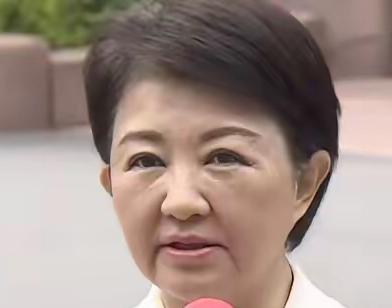 近期，蒋万安、卢秀燕、侯友宜、柯志恩等一众国民党政客接连发声，或“严厉谴责”大陆