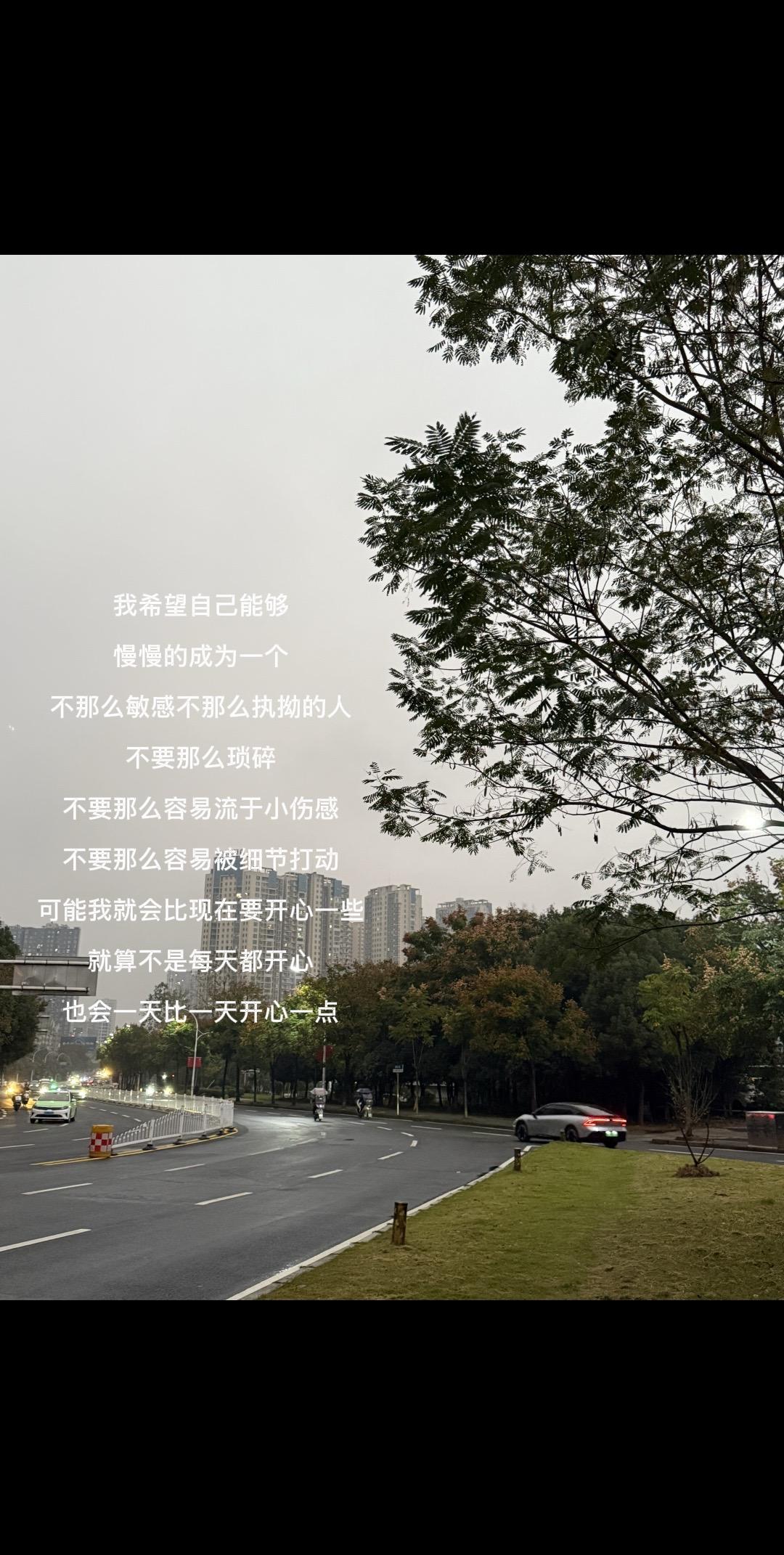 我也有心事 我现在谁也不说 因为我知道 言一出 泪必落.