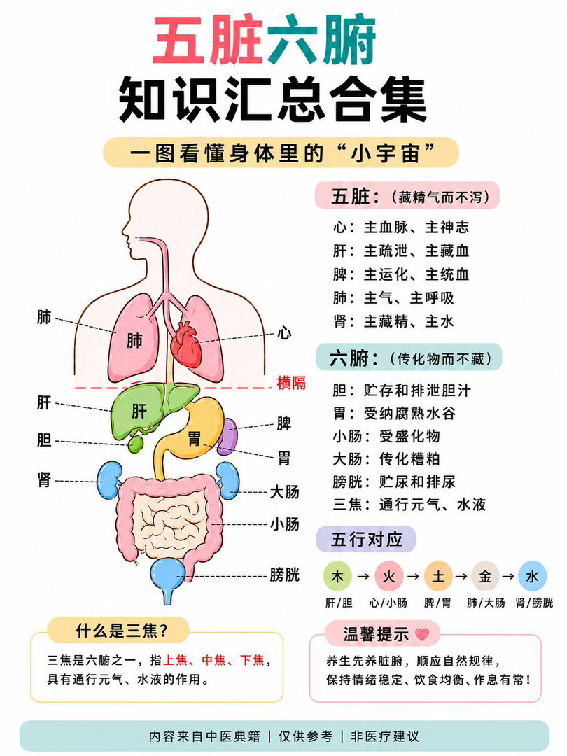 为什么总说“六腑通则百病少”？ 