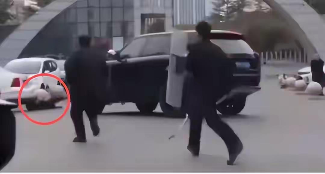 当手持刀具在民警面前频频挥舞，当现场对峙陷入僵持的危险僵局，一辆车的精准撞击打破