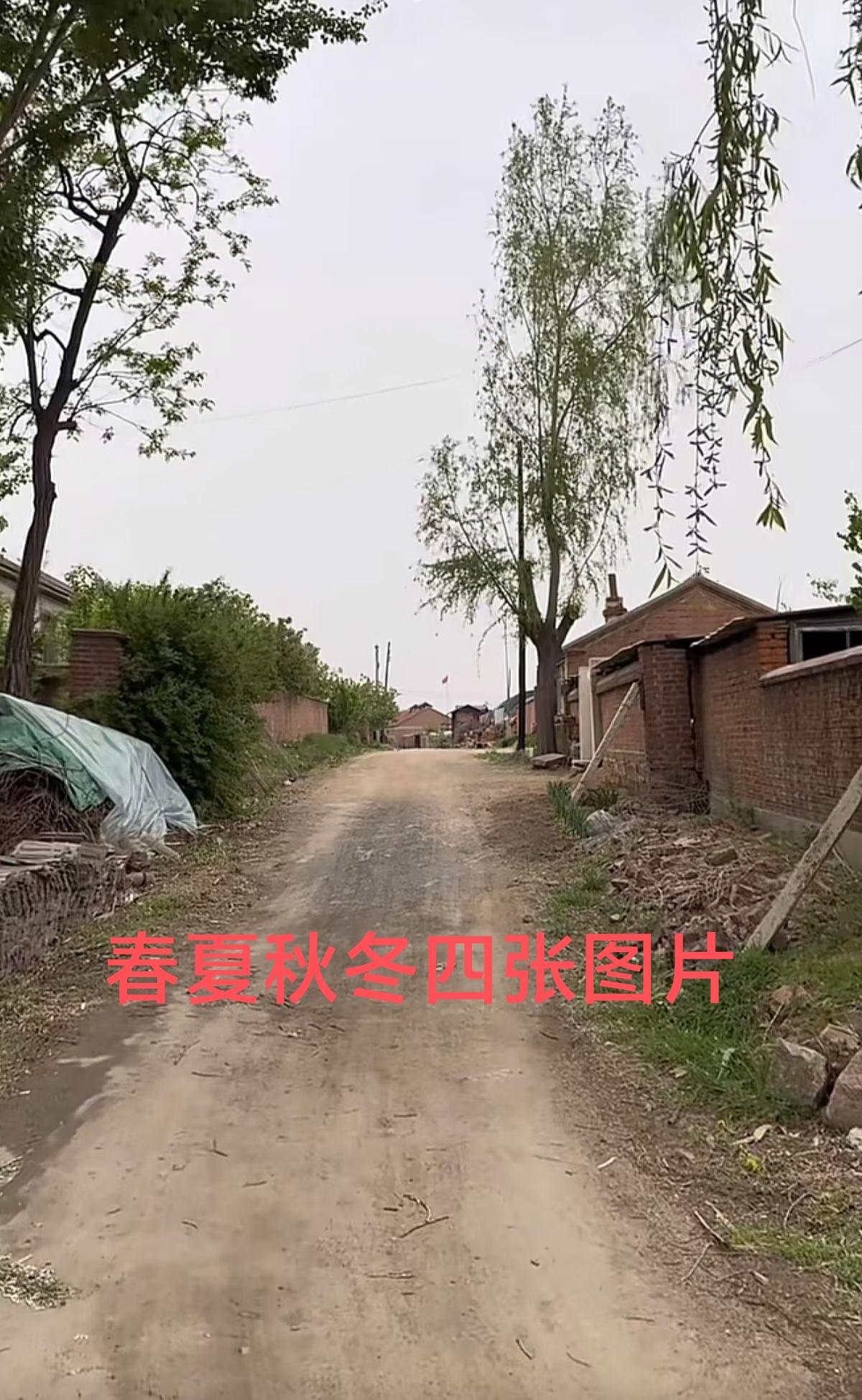 也说年味。
  一入腊月都是好，十五前边都是年。
  元宵节过去了，但是，我总感