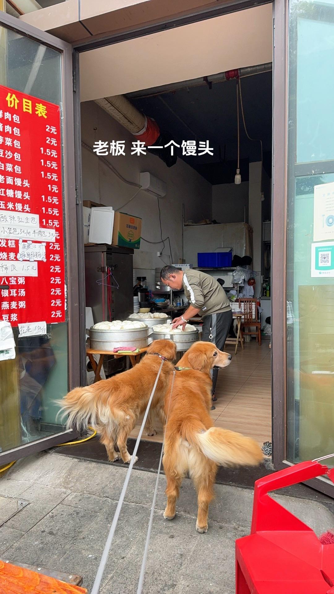 老板 馒头➕1