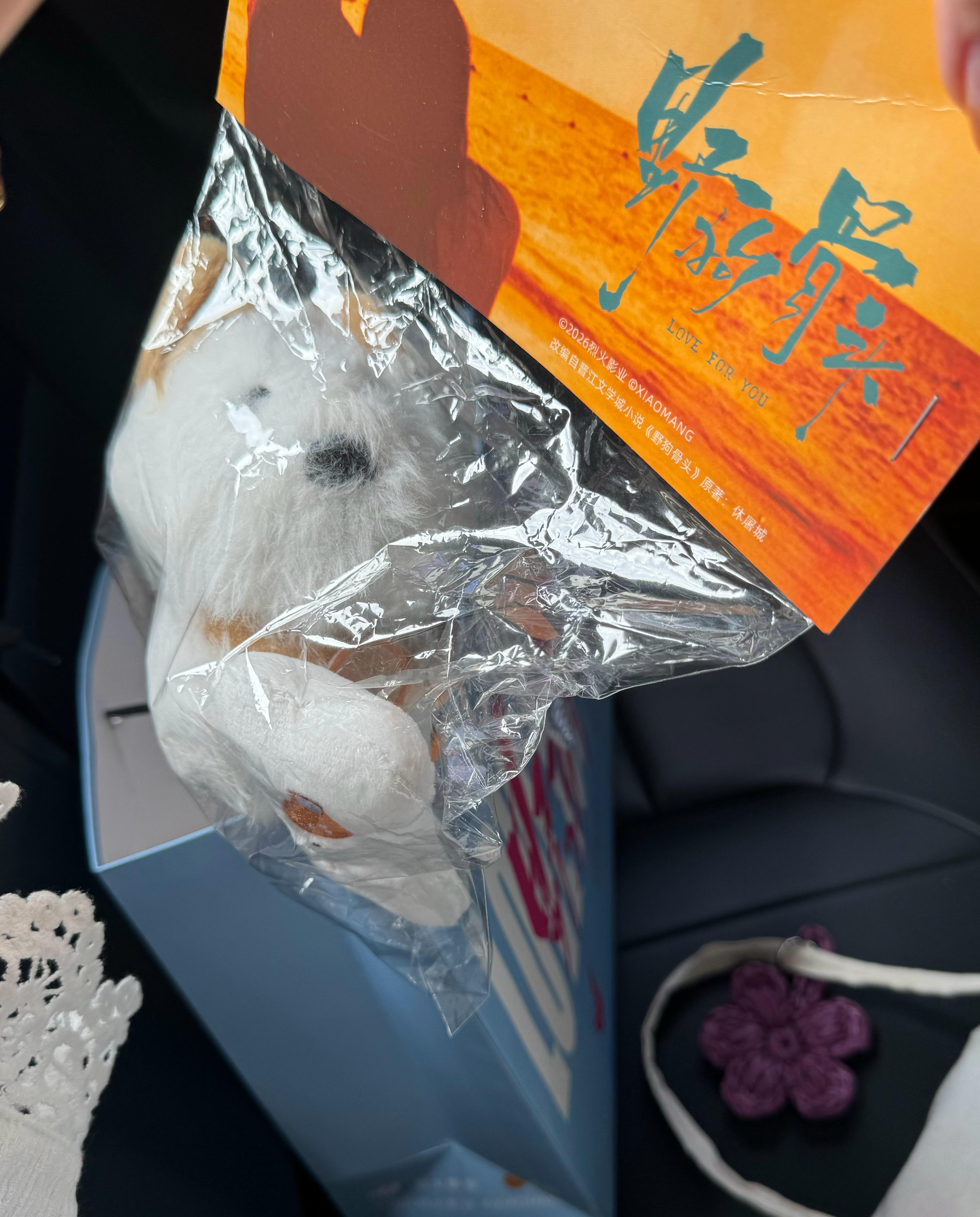 抽一个铁粉送野狗骨头小狗玩偶、再抽一个送手机链 评论就行了 ​  ​  ​​​