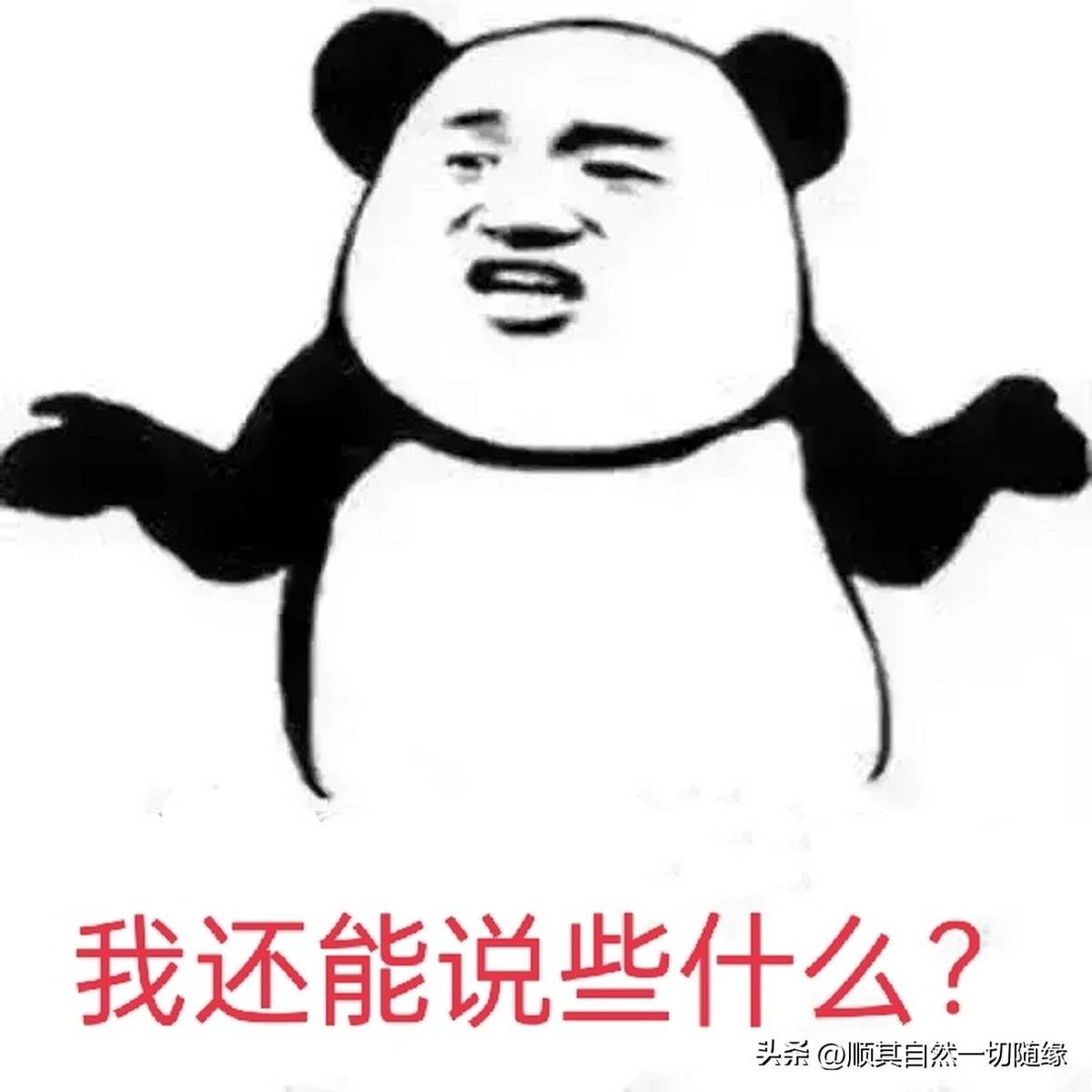 我看完就一个感觉：憋屈。
丈母娘每天打十几个长途电话，翻来覆去就为了说同一件事。
