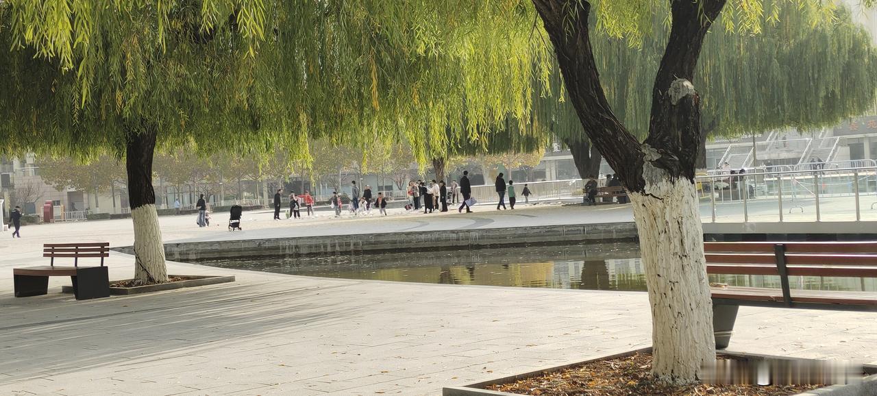 感觉身边的人都被流感了，现在公交车都不敢坐了，只好到周边的小公园里去散散步。今天