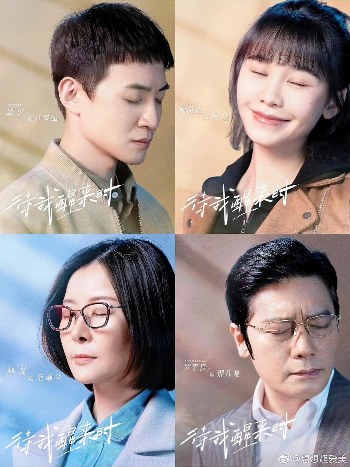 📺剧名：《待我醒来时》🌸主演：景甜 / 张新成 / 刘畅 / 黄米依 / 秦