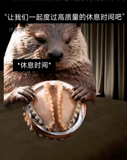 非常希望能和王噜洁子度过这样愉快的休息时间 