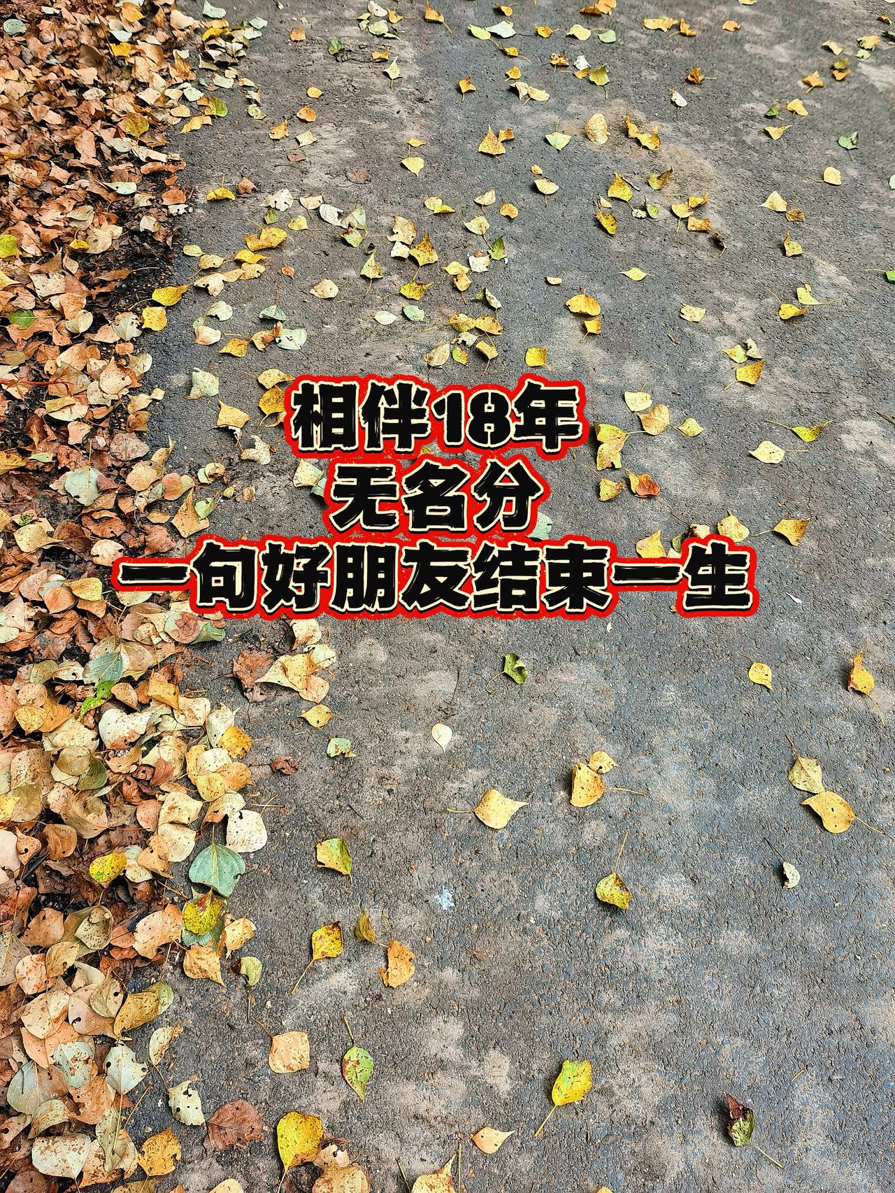 最近李抗美奶奶的故事看得人心堵得慌。
没有领证，半路相伴整整十八年，彼此扶持、相