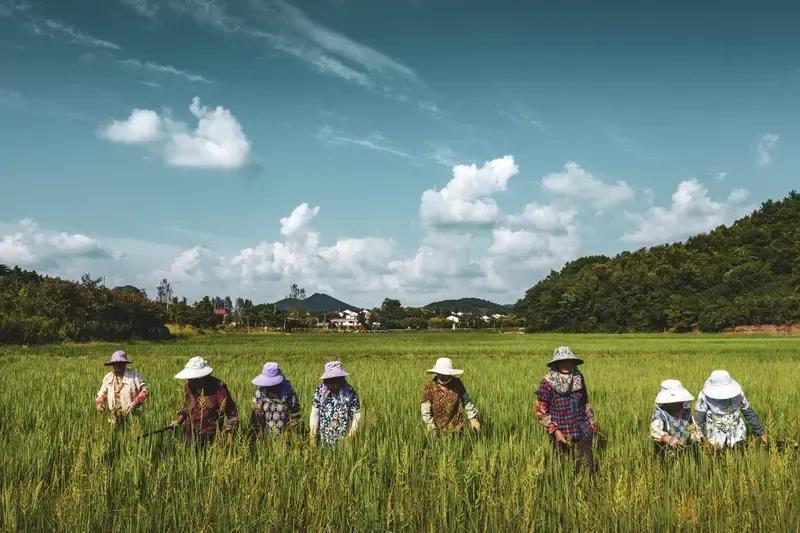 你愿意自己的孩子在农村当农民吗?按照当下的农村政策来看，百分之百的家长都不愿让自