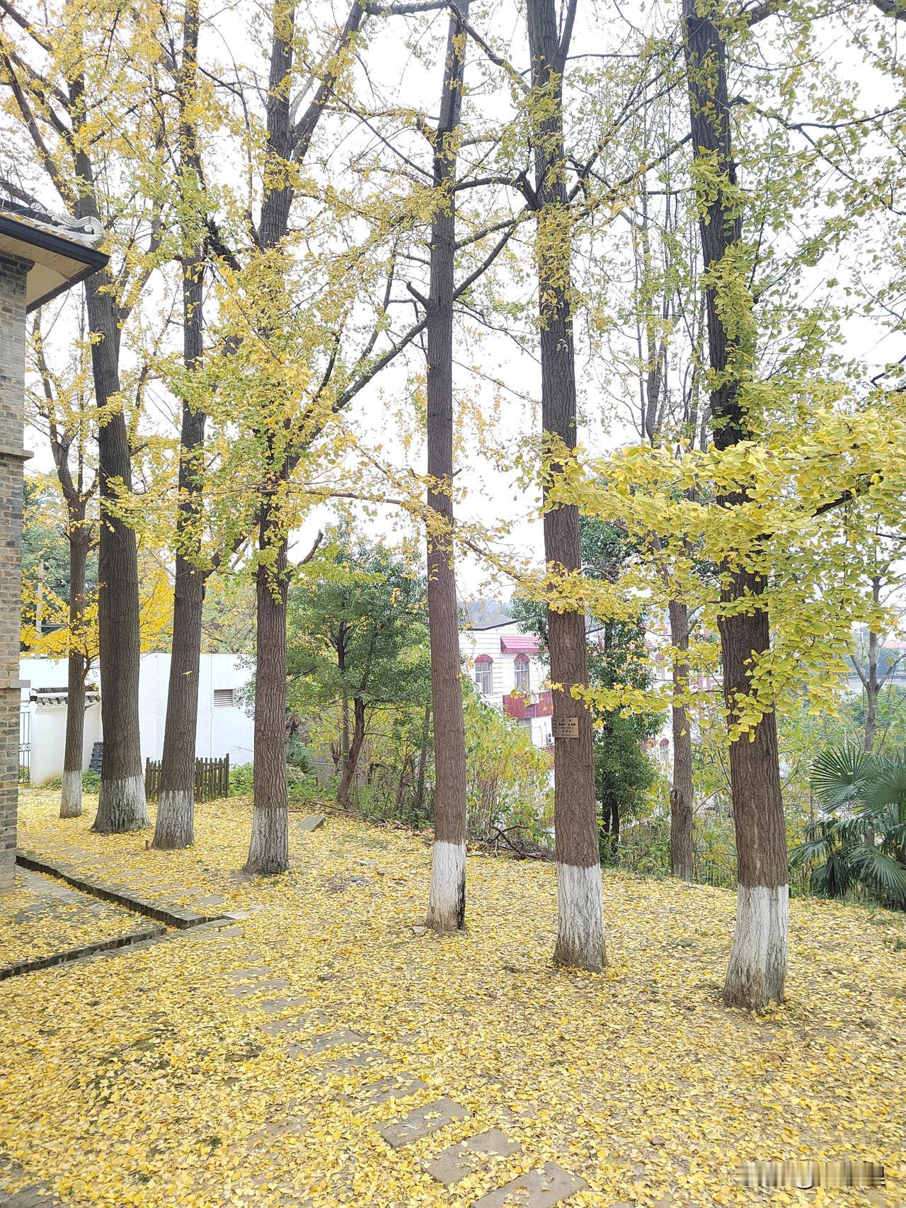 ● 朋友早安！
     前行之路，一路风景一路歌，处处人间烟火。不必纠结于错过