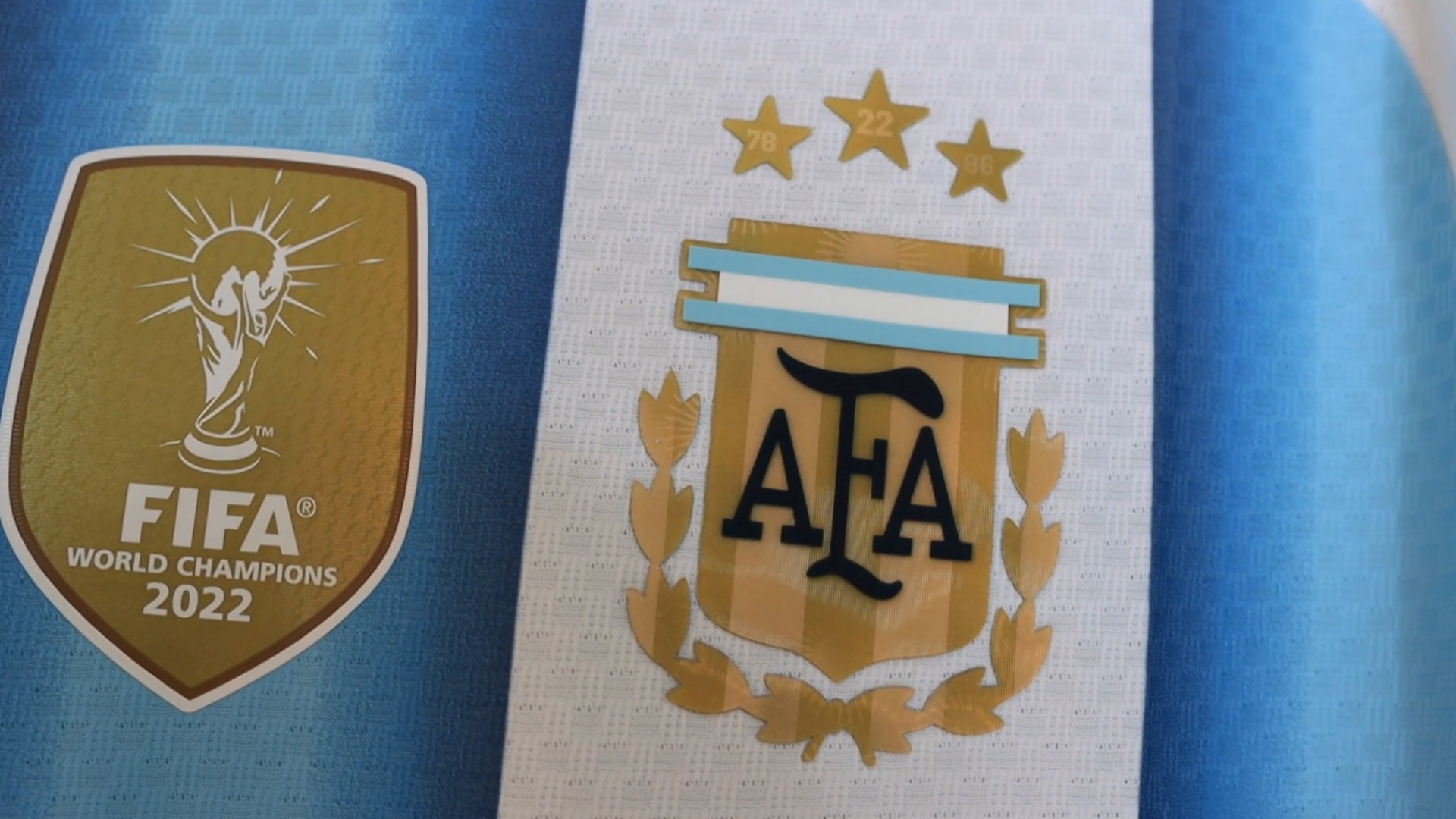 试试live图效果~(¯▽¯~) 